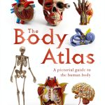 DK Children Kids Atlas for Ages 9-12 – 66 Page Kindle Edition-0